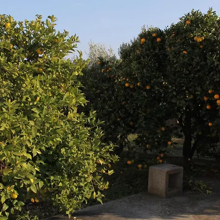 By The Sea - 7499 * Rogoznica (Sibenik-Knin)