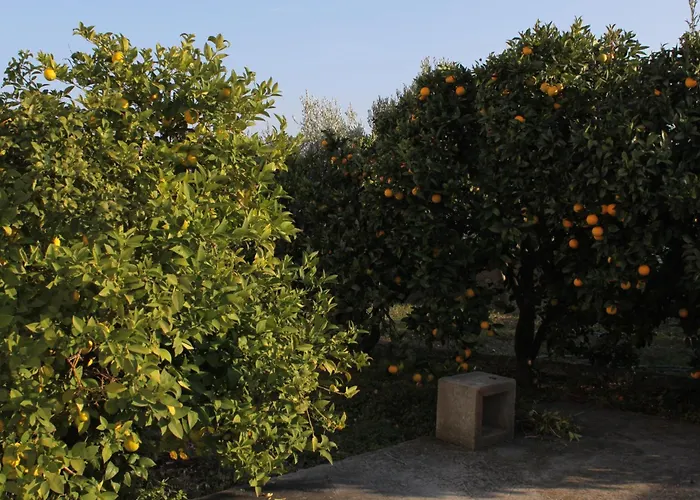 By The Sea - 7499 * Rogoznica (Sibenik-Knin)